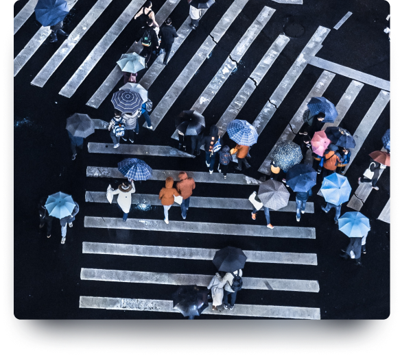 Viele Menschen mit Regenschirmen überqueren eine Kreuzung